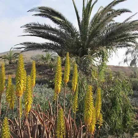 Descanso En Espacio Natural Con Vistastharada بيت للعطل