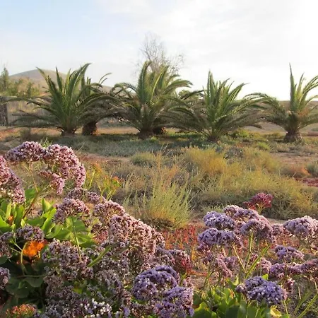 Descanso En Espacio Natural Con Vistastharada Semesterbostad Roque