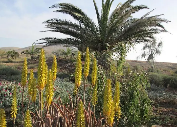 Descanso En Espacio Natural Con Vistastharada Dom wakacyjny