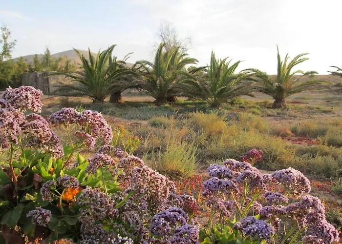 Descanso En Espacio Natural Con Vistastharada Dom wakacyjny Roque